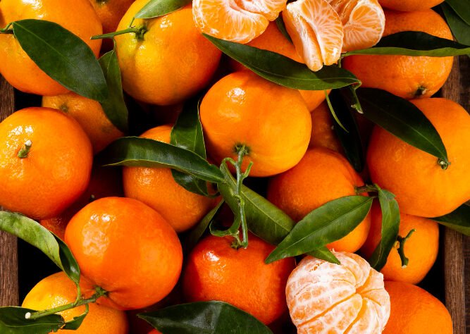 CLIMENTINAS (ΚΛΗΜΕΝΤΙΝΕΣ) : Ξεκινούν τέλη Οκτωβρίου παράλληλα με τις Ναβαλίνες με αποπρασινισμό και διαρκούν εώς και τα τέλη Δεκεμβρίου. NOVA (ΝΟΒΑ) : Αρχές Ιανουαρίου ξεκινάει η συγκομιδή για τα μανταρίνια NOVA. Τέλειο σχήμα και αναλογία, πλούσια σε χυμό και γεύση, διαρκούν έως τις 20 Φεβρουαρίου περίπου. ORTANIQUE (ΟΡΤΑΝΙΚ) : Ξεκινάει η κοπή στα μέσα Απριλίου και διαρκεί έως και τον Μάϊο. Κατάλληλα για μακρινούς προορισμούς και αποθήκευση λόγω του σκληρού φλοιού τους.