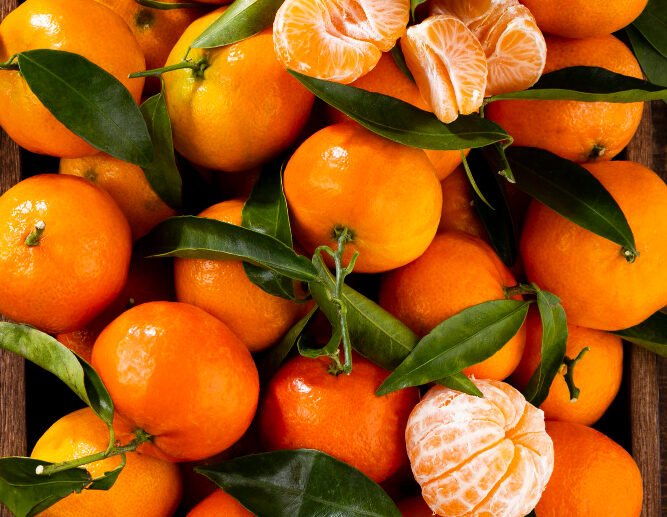 CLIMENTINAS (ΚΛΗΜΕΝΤΙΝΕΣ) : Ξεκινούν τέλη Οκτωβρίου παράλληλα με τις Ναβαλίνες με αποπρασινισμό και διαρκούν εώς και τα τέλη Δεκεμβρίου. NOVA (ΝΟΒΑ) : Αρχές Ιανουαρίου ξεκινάει η συγκομιδή για τα μανταρίνια NOVA. Τέλειο σχήμα και αναλογία, πλούσια σε χυμό και γεύση, διαρκούν έως τις 20 Φεβρουαρίου περίπου. ORTANIQUE (ΟΡΤΑΝΙΚ) : Ξεκινάει η κοπή στα μέσα Απριλίου και διαρκεί έως και τον Μάϊο. Κατάλληλα για μακρινούς προορισμούς και αποθήκευση λόγω του σκληρού φλοιού τους.