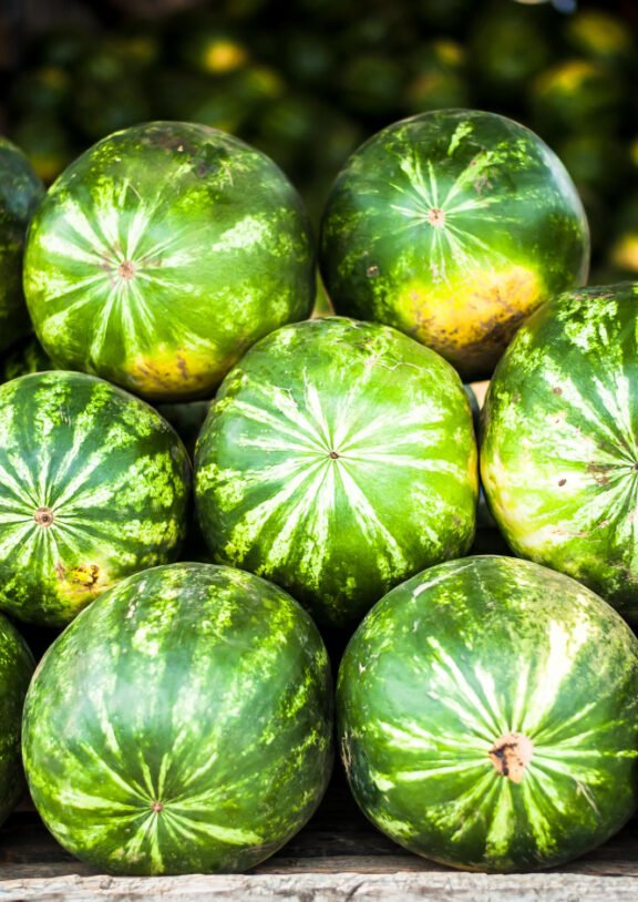Αρχίζοντας με πρώϊμες παραγωγές περίπου στα μέσα Απριλίου, με καρπούζια θερμοκηπίου και συνεχίζοντας με υπαίθρια καρπούζια έως και τα τέλη Αυγούστου. Τα καρπούζια πλένονται, καλιμπράρονται και έπειτα συσκευάζονται σε BINS (ΜΠΙΝΣ) 200 Kg – 400 Kg είτε σε χαρτοκιβώτια 20 Kg.
