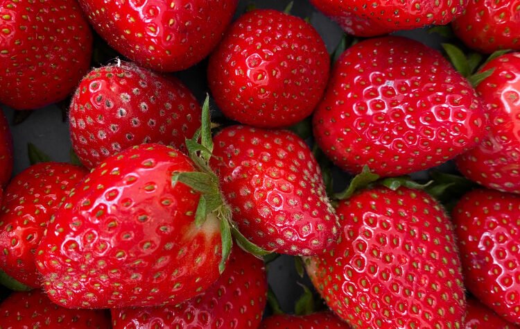 Στις φράουλες ξεκινάει η σεζόν στα τέλη Οκτωβρίου και διαρκεί έως και τα τέλη Μαϊου με αρχές Ιουνίου με διάφορες ποικιλίες όπως ....