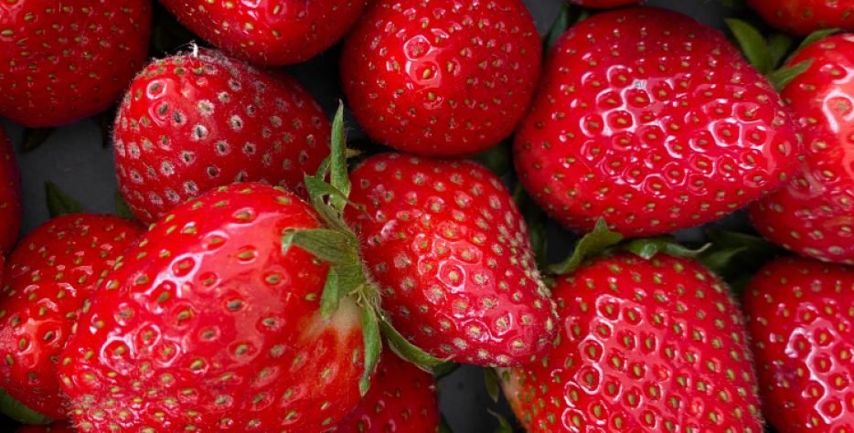 Στις φράουλες ξεκινάει η σεζόν στα τέλη Οκτωβρίου και διαρκεί έως και τα τέλη Μαϊου με αρχές Ιουνίου με διάφορες ποικιλίες όπως ....