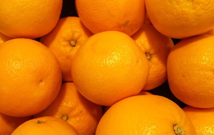 NAVELINA (ΝΑΒΑΛΙΝΑ): Ξεκινώντας στα τέλη Οκτωβρίου με πορτοκάλια NAVELINA (ΝΑΒΑΛΙΝΑ) κάνουμε αποπρασινισμό στα ωριμαντήριά μας. Ο αποπρασινισμός διαρκεί έως και τα μέσα Δεκεμβρίου. Συνέχεια έχουν τα φυσικά πορτοκάλια τα οποία διαρκούν έως και τα τέλη Φεβρουαρίου. NAVEL (ΝΑΒΕΛ): Περίπου στις 15-20 Δεκεμβρίου ξεκινούν τα πορτοκάλια ΜΕΡΛΙΝ (NAVEL) φυσικά, παράλληλα με τις ΝΑΒΑΛΙΝΕΣ και διαρκούν έως και τα τέλη Μαρτίου. LANE LATE (ΛΑΝΕ ΛΕΪΤ): Ξεκινούν τέλη Μαρτίου. Πρόκειται για όψιμη ποικιλία, εξαιρετικά πορτοκάλια με έντονο χρώμα και γεύση. Διαρκούν έως και τα τέλη Μαϊου. VALENCIA (ΒΑΛΕΝΤΣΙΑ): Ξεκινούν στα μέσα Απριλίου και διαρκούν έως και τα τέλη Σεπτεμβρίου. Μεσαίος καρπός, πλούσια γεύση και τέλειο άρωμα.