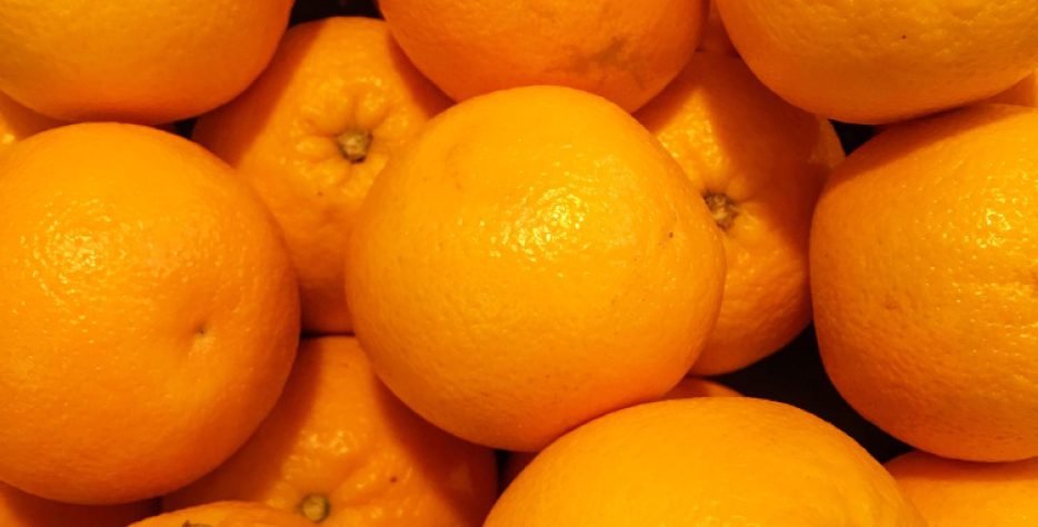 NAVELINA (ΝΑΒΑΛΙΝΑ): Ξεκινώντας στα τέλη Οκτωβρίου με πορτοκάλια NAVELINA (ΝΑΒΑΛΙΝΑ) κάνουμε αποπρασινισμό στα ωριμαντήριά μας. Ο αποπρασινισμός διαρκεί έως και τα μέσα Δεκεμβρίου. Συνέχεια έχουν τα φυσικά πορτοκάλια τα οποία διαρκούν έως και τα τέλη Φεβρουαρίου. NAVEL (ΝΑΒΕΛ): Περίπου στις 15-20 Δεκεμβρίου ξεκινούν τα πορτοκάλια ΜΕΡΛΙΝ (NAVEL) φυσικά, παράλληλα με τις ΝΑΒΑΛΙΝΕΣ και διαρκούν έως και τα τέλη Μαρτίου. LANE LATE (ΛΑΝΕ ΛΕΪΤ): Ξεκινούν τέλη Μαρτίου. Πρόκειται για όψιμη ποικιλία, εξαιρετικά πορτοκάλια με έντονο χρώμα και γεύση. Διαρκούν έως και τα τέλη Μαϊου. VALENCIA (ΒΑΛΕΝΤΣΙΑ): Ξεκινούν στα μέσα Απριλίου και διαρκούν έως και τα τέλη Σεπτεμβρίου. Μεσαίος καρπός, πλούσια γεύση και τέλειο άρωμα.