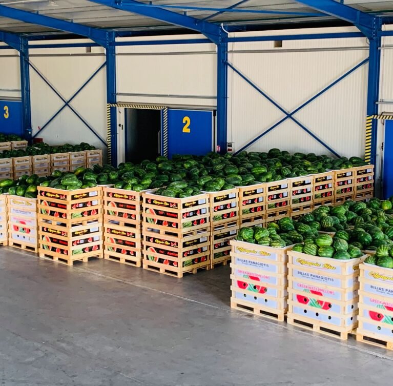 Αρχίζοντας με πρώϊμες παραγωγές περίπου στα μέσα Απριλίου, με καρπούζια θερμοκηπίου και συνεχίζοντας με υπαίθρια καρπούζια έως και τα τέλη Αυγούστου. Τα καρπούζια πλένονται, καλιμπράρονται και έπειτα συσκευάζονται σε BINS (ΜΠΙΝΣ) 200 Kg – 400 Kg είτε σε χαρτοκιβώτια 20 Kg.