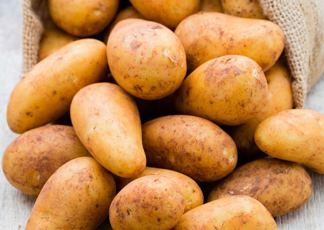 Υπαίθριες, πλούσιες σε γεύση και συστατικά από αρχές Μαϊου έως και τον Ιούλιο. Συσκευάζονται σε τσουβάλια 15 – 20 – 25 – 30 – 35 – 40 – 50 Kg.