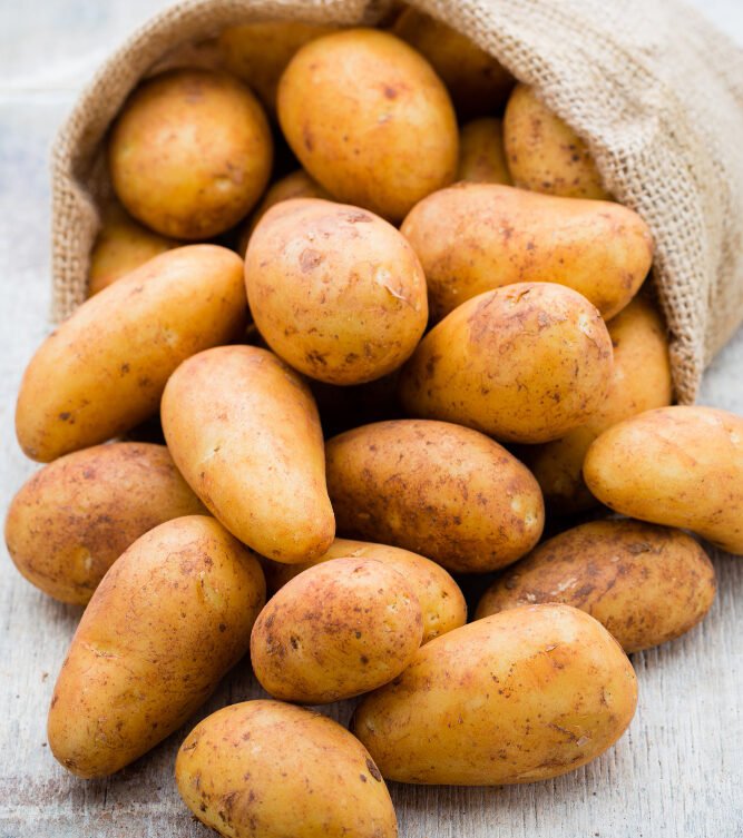 Υπαίθριες, πλούσιες σε γεύση και συστατικά από αρχές Μαϊου έως και τον Ιούλιο. Συσκευάζονται σε τσουβάλια 15 – 20 – 25 – 30 – 35 – 40 – 50 Kg.