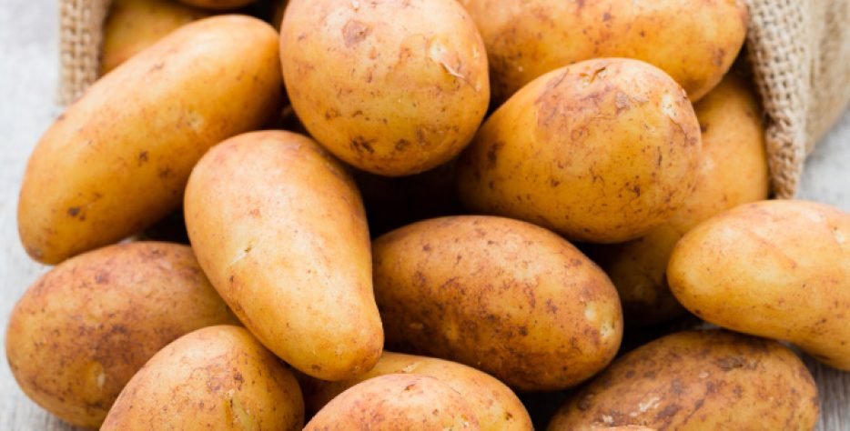 Υπαίθριες, πλούσιες σε γεύση και συστατικά από αρχές Μαϊου έως και τον Ιούλιο. Συσκευάζονται σε τσουβάλια 15 – 20 – 25 – 30 – 35 – 40 – 50 Kg.