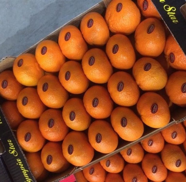 CLIMENTINAS (ΚΛΗΜΕΝΤΙΝΕΣ) : Ξεκινούν τέλη Οκτωβρίου παράλληλα με τις Ναβαλίνες με αποπρασινισμό και διαρκούν εώς και τα τέλη Δεκεμβρίου. NOVA (ΝΟΒΑ) : Αρχές Ιανουαρίου ξεκινάει η συγκομιδή για τα μανταρίνια NOVA. Τέλειο σχήμα και αναλογία, πλούσια σε χυμό και γεύση, διαρκούν έως τις 20 Φεβρουαρίου περίπου. ORTANIQUE (ΟΡΤΑΝΙΚ) : Ξεκινάει η κοπή στα μέσα Απριλίου και διαρκεί έως και τον Μάϊο. Κατάλληλα για μακρινούς προορισμούς και αποθήκευση λόγω του σκληρού φλοιού τους.